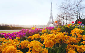 Paris flowers